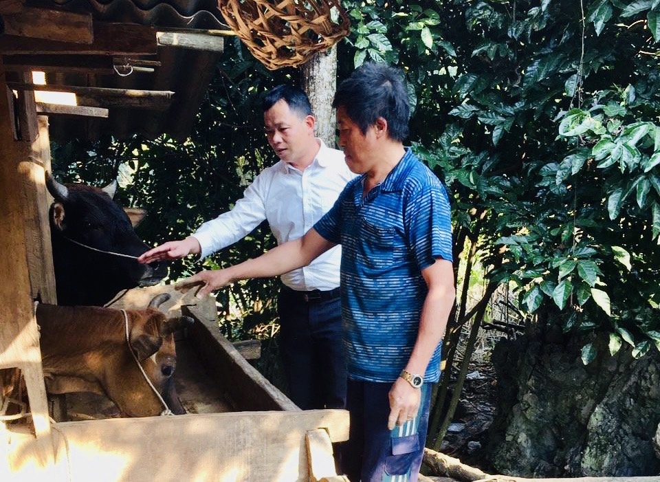 Cán bộ xã Trường Hà, huyện Hà Quảng hướng dẫn người dân chăm sóc vật nuôi