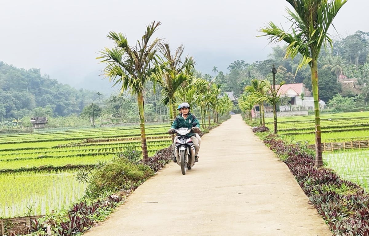 Phong trào “Hàng rào xanh”, con đường hoa nông thôn mới ở miền núi Thanh Hóa