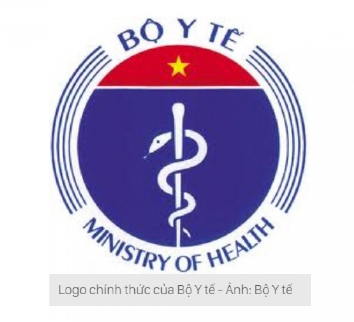 Làm rõ vụ logo Bộ Y tế biến thành rắn ngậm phong bì 1