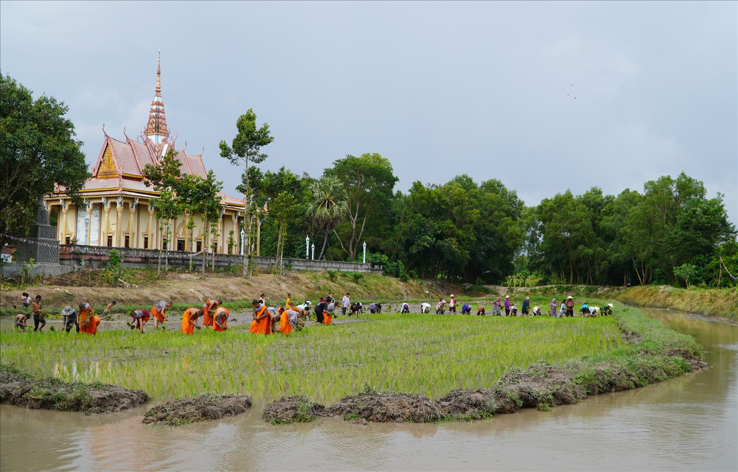 Đời sống vùng đồng bào Khmer huyện Tịnh Biên ngày càng khởi sắc