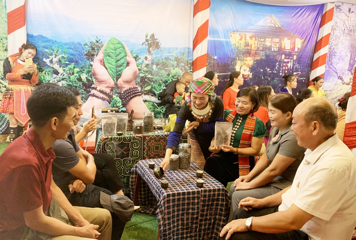 Lãnh đạo huyện Văn Chấn thưởng thức trà Shan Tuyết cổ thụ Suối Giàng tại Đêm tiệc trà Shan Tuyết cổ thụ Suối Giàng