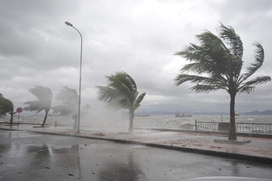 Các địa phương cần ứng phó khẩn cấp với bão số 4 và mưa lũ