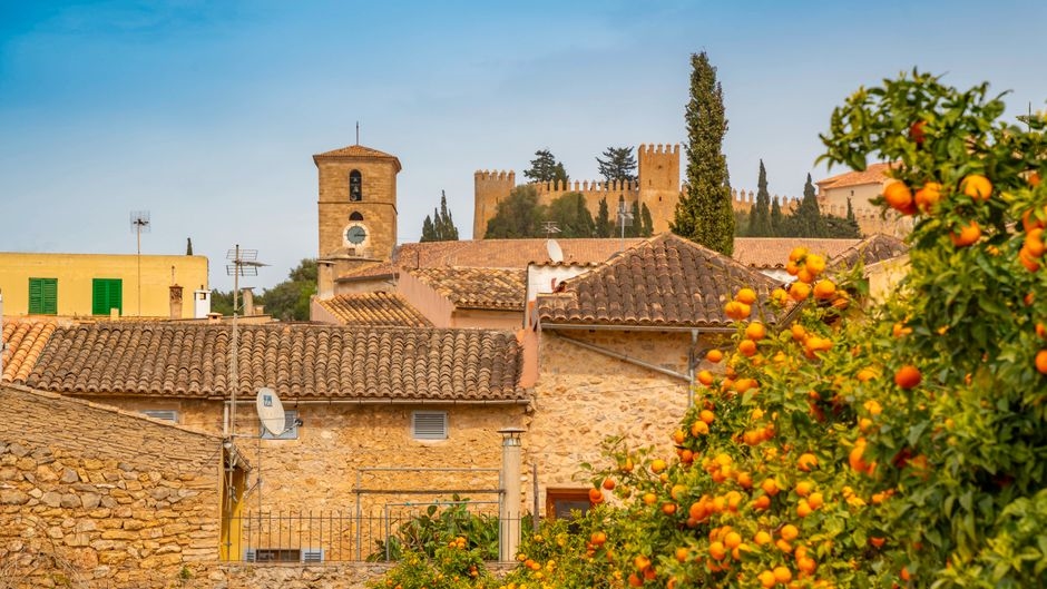 Những cây cam trước những ngôi nhà ở thị trấn Artà ở Mallorca. (Ảnh: IMAGO / robertharding)