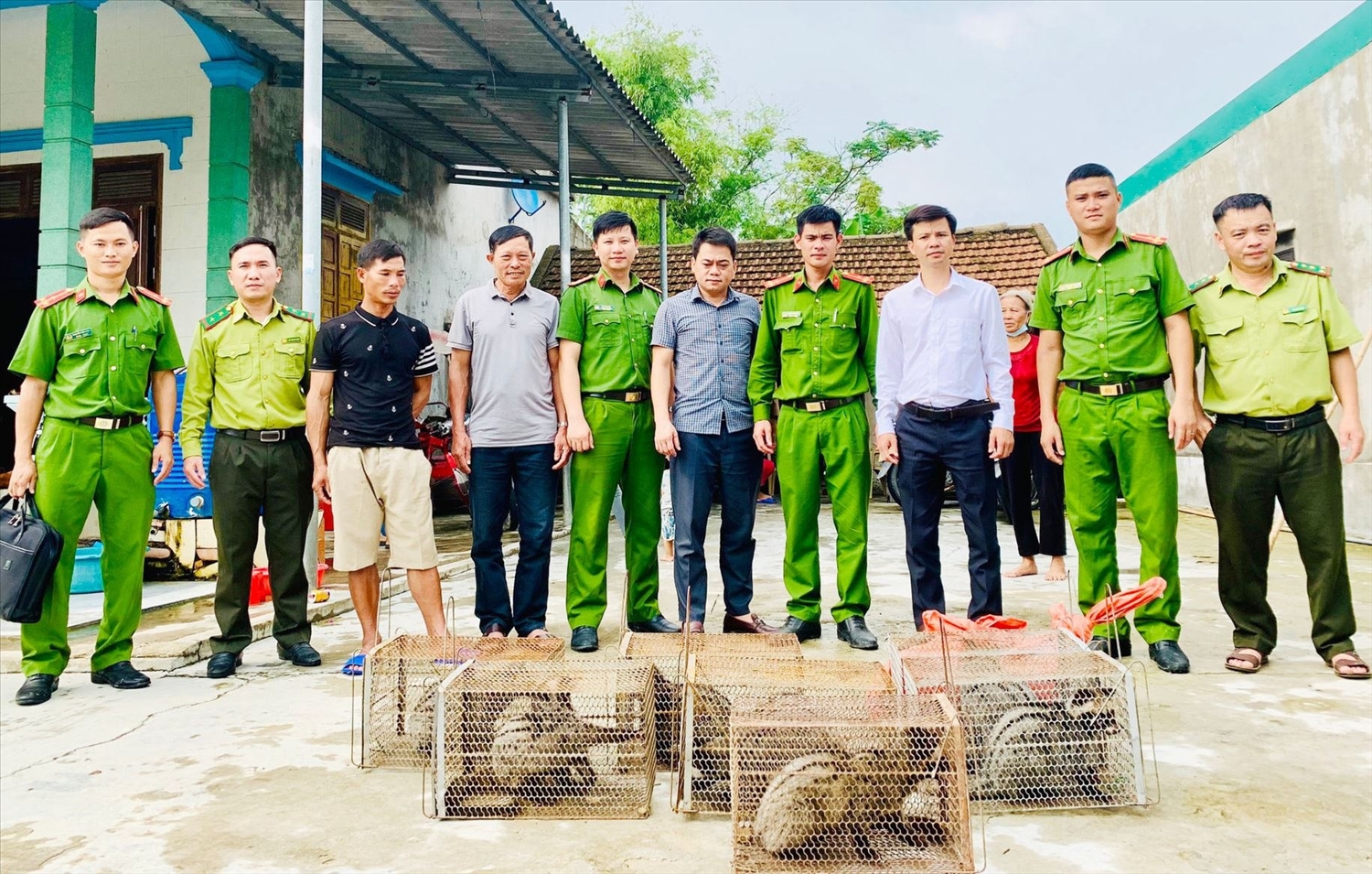Ngành chức năng đã tịch thu số cá thể cầy vòi hương để bàn giao cho Vườn quốc gia Vũ Quang