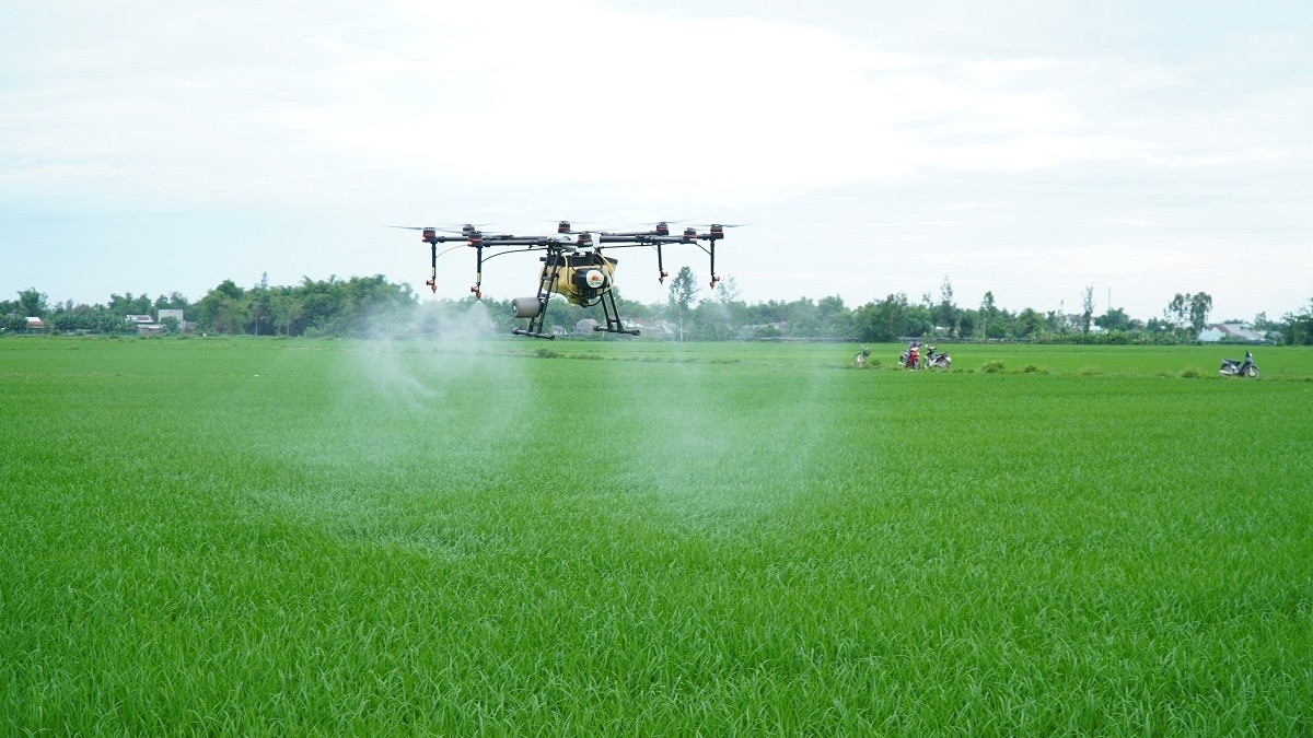 Dịch vụ máy bay không người lái chuyên dụng để xử lý mùa vụ tại vùng nguyên liệu lúa cho nông dân An Giang