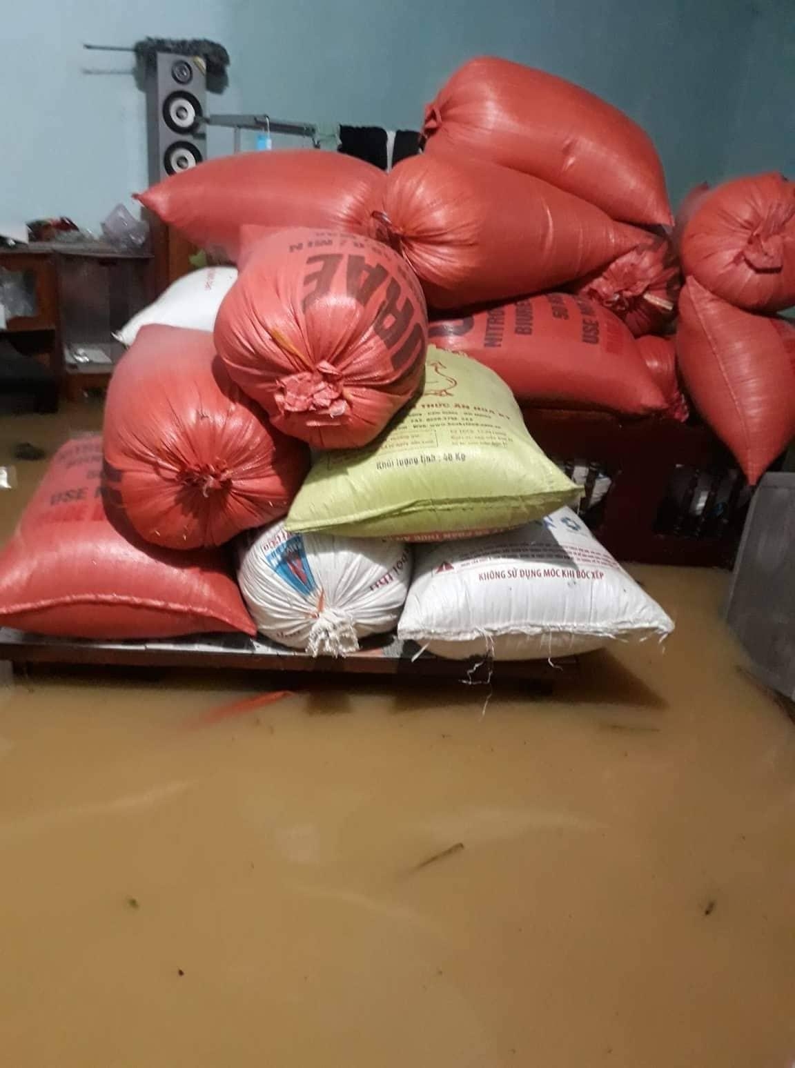 Tại huyện Yên Thành, tỉnh Nghệ An nhiều nhà dân đã ngập trong nước