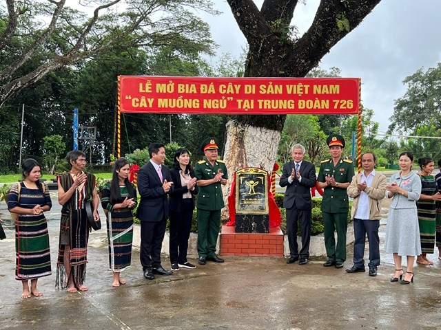 Lễ đón nhận Cây di sản Việt Nam