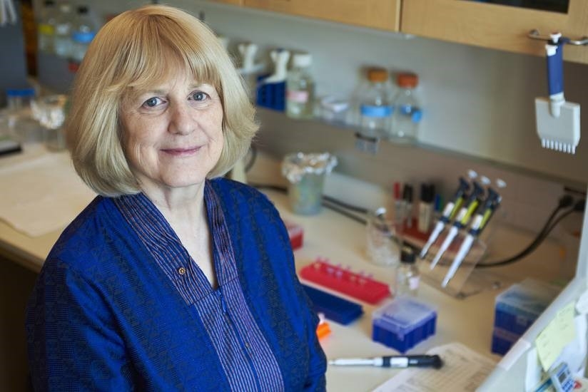 Nhà di truyền học Mary-Claire King (Mỹ) - một trong những ứng viên sáng giá cho giải Nobel Y Sinh. Ảnh: airsfoundation