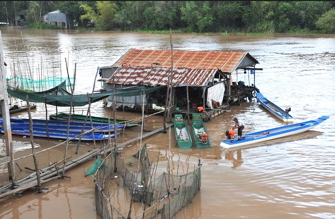 Nước lũ đang lên cao, nguy cơ cao xảy ra ngập lụt ở các vùng trũng thấp, vùng ven sông tại các tỉnh Tây Nam Bộ