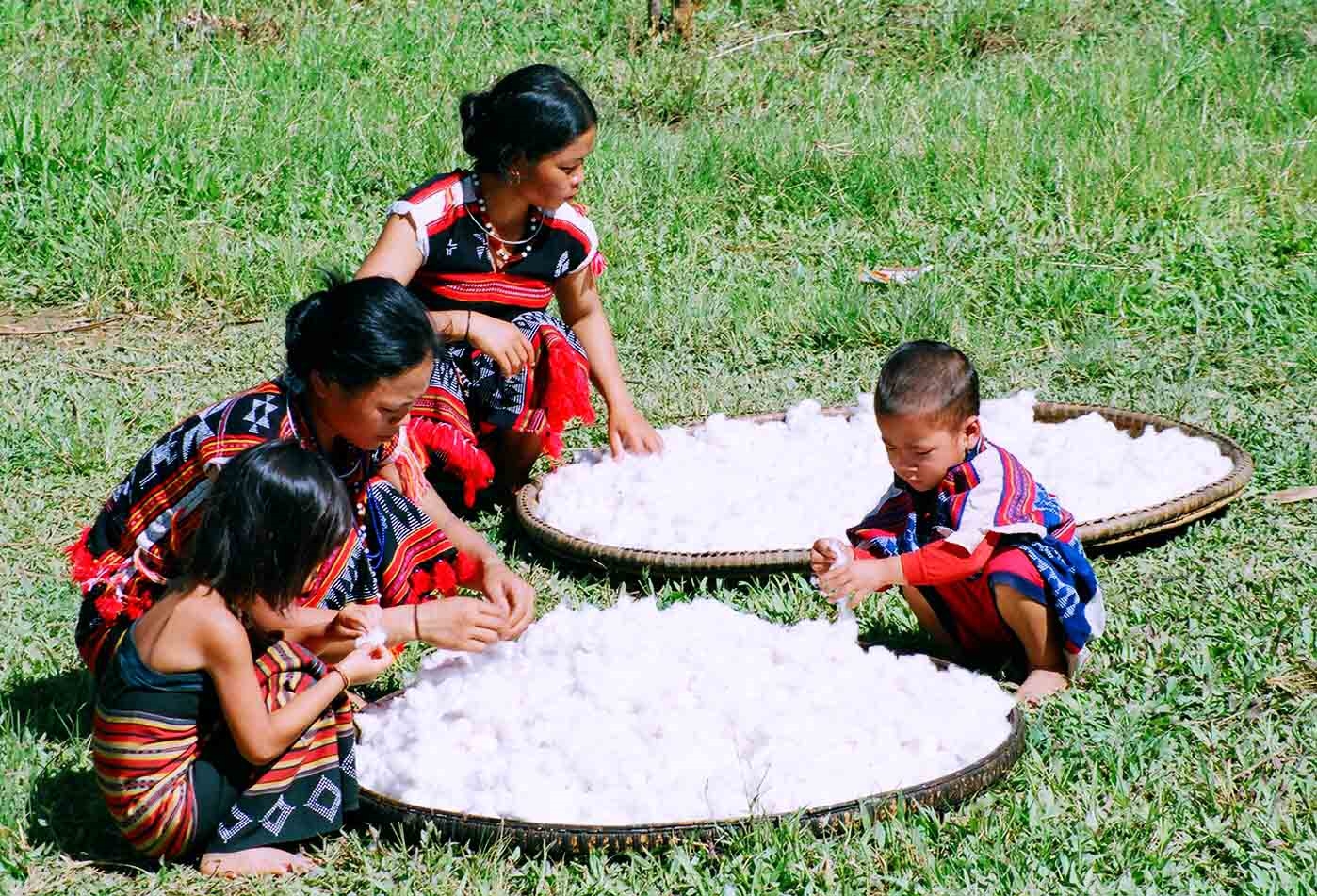 Phụ nữ Cơ Tu làng Công Dồn xã Zuôich, huyện Nam Giang (Quảng Nam) phơi bông để dệt thổ cẩm (Ảnh Tấn Vịnh)