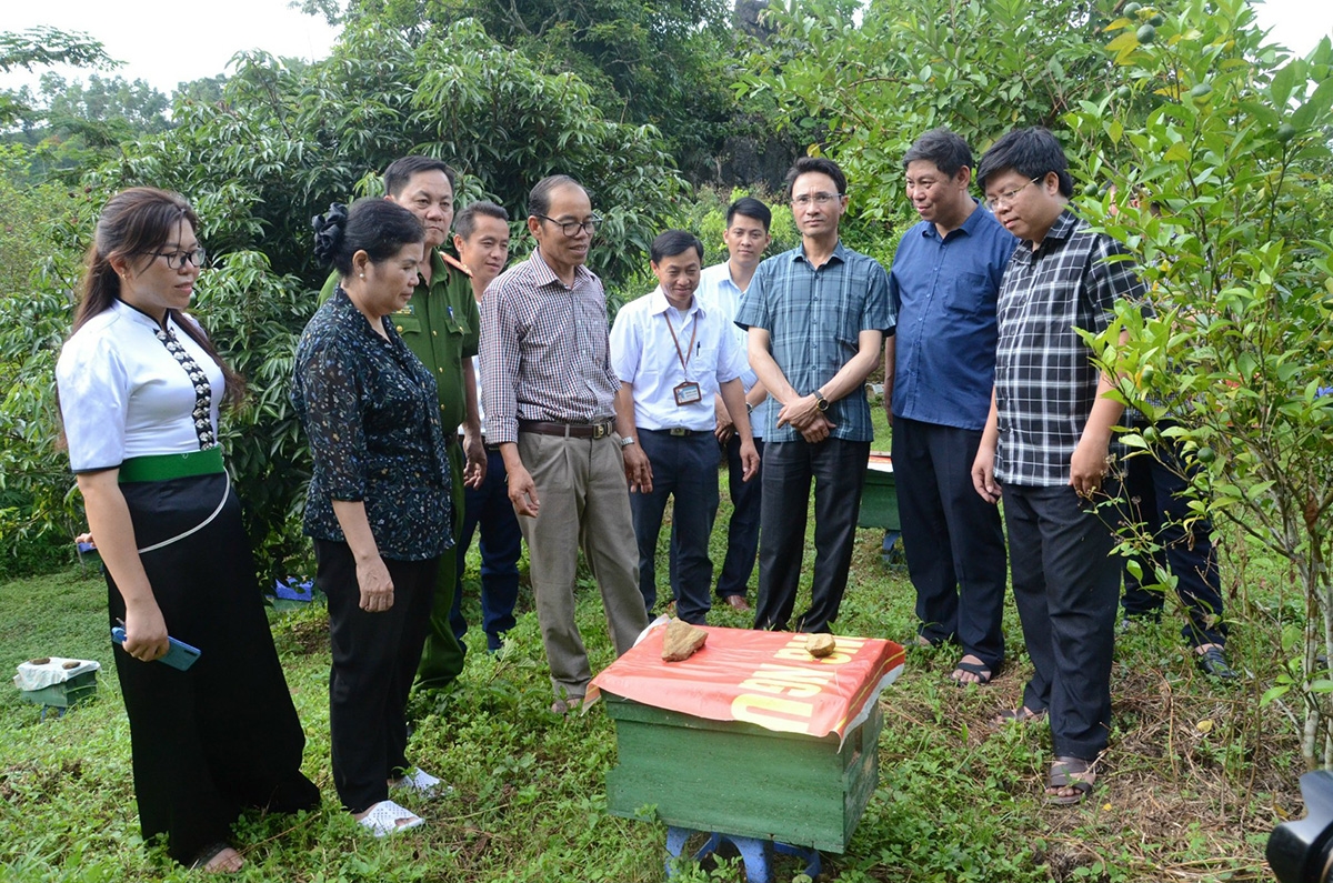 Bà Giàng Páo Mỷ - Bí thư Tỉnh ủy Lai Châu (thứ hai từ trái qua) thăm, kiểm tra mô hình kinh tế tại xã Pha Mu