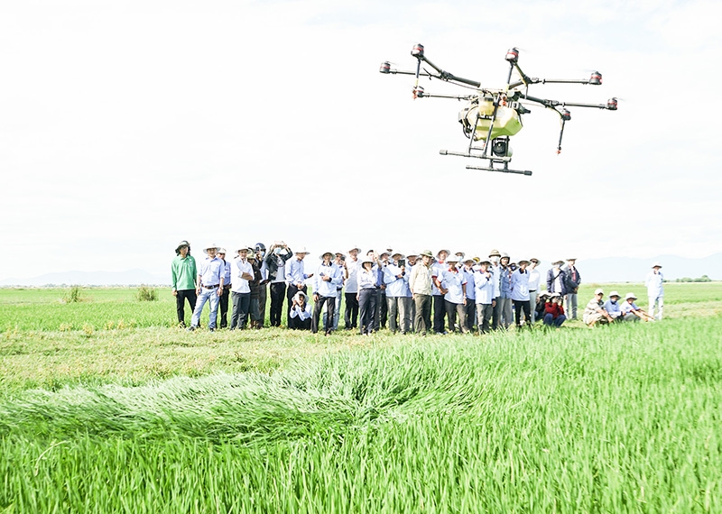 Sử dụng drone để phun thuốc bảo vệ thực vật tại Hợp tác xã Diên Khánh, xã Hải Dương, huyện Hải Lăng, tỉnh Quảng Trị. Ảnh: Thục Quyên
