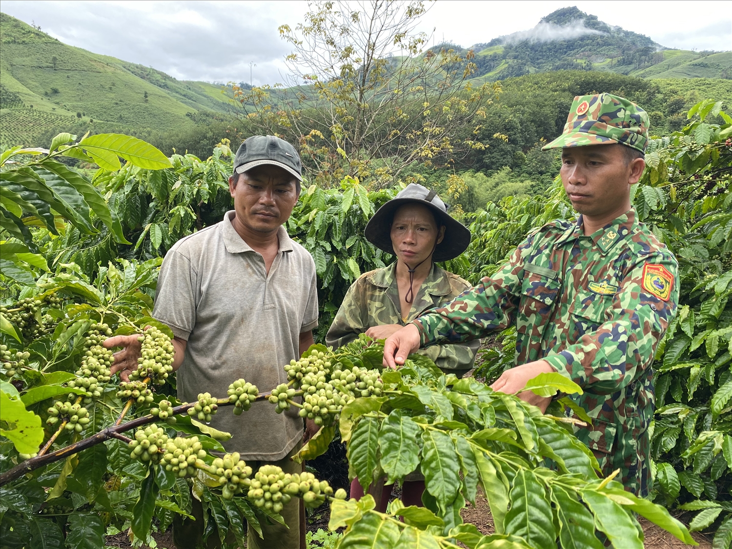 Thượng úy Xiêng Văn Bức hướng dẫn vợ chồng anh A Biên chăm sóc vườn cà phê.