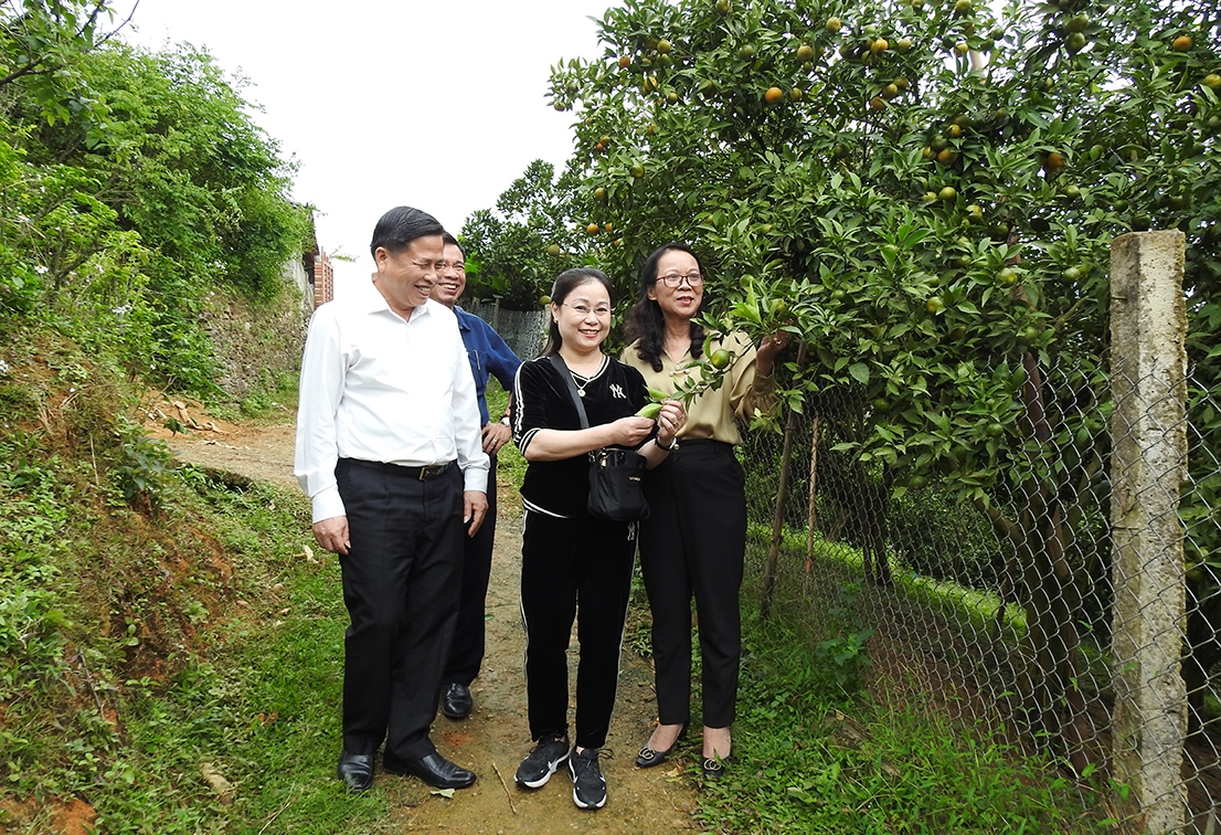 Thứ trưởng Hoàng Thị Hạnh và Lãnh đạo tỉnh Hòa Bình thăm mô hình trồng quýt tiêu biểu huyện Tân Lạc