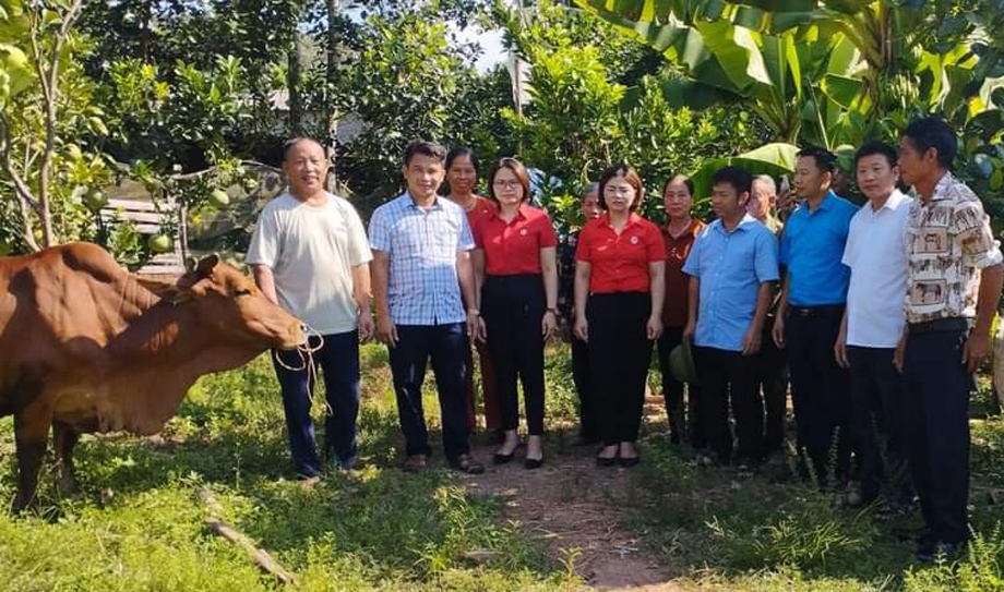 Đại diện Hội Chữ Thập đỏ xã Dương Thành trao bò cho ông Nguyễn Văn Đãng.