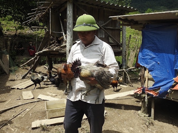 Vừ Tồng Pó ở bản Mường Lống 1, xã Mường Lống, huyện Kỳ Sơn bên trang trại nuôi gà của gia đình mình