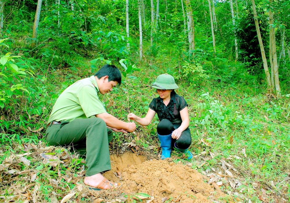 Cán bộ Hạt Kiểm lâm huyện Chợ Mới, tỉnh Bắc Kạn hướng dẫn người dân trồng rừng