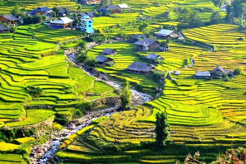 Bản làng người Giáy ở Tả Van, thị xã Sa Pa là điểm du lịch cộng đồng thu hút du khách trong nước và quốc tế