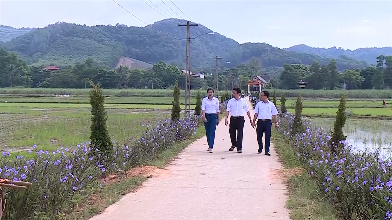 Phong trào “Hàng rào xanh”, con đường hoa NTM ở miền núi Thanh Hóa