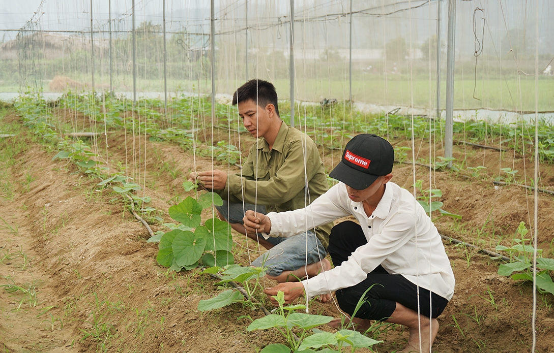 Qua lớp đào tạo nghề nông nghiệp, lao động nông thôn có cơ hội tìm kiếm việc làm với thu nhập ổn định 