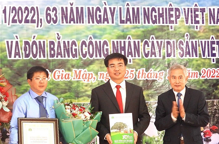 Lãnh đạo Vườn quốc gia Bù Gia Mập đón bằng công nhận Cây di sản Việt Nam
