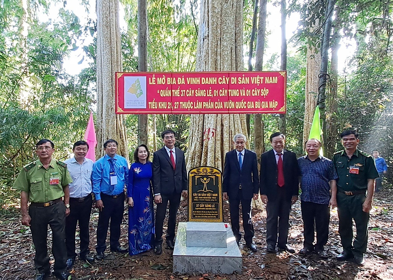 Các đại biểu chụp hình lưu niệm tại quần thể 37 cây săng lẻ (còn gọi là bằng lăng) vừa được công nhận là Cây di sản Việt Nam