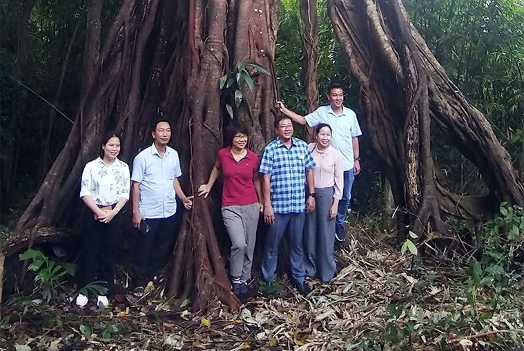 Các đại biểu chụp hình lưu niệm tại cây sộp - vừa được công nhận là Cây di sản Việt Nam