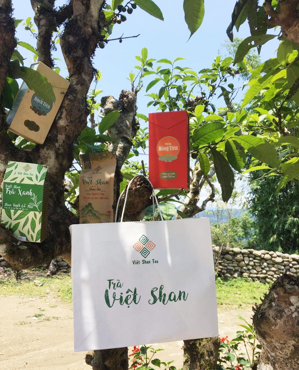 Thương hiệu chè Việt Shan được thiết kế nhiều bao bì mẫu mã phù hợp với thị trường