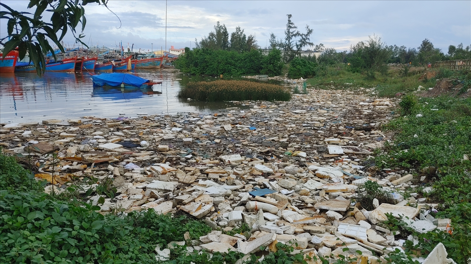 Khu neo đậu tàu thuyền gần Cảng Cá Tịnh Kỳ cũng tràn ngập rác
