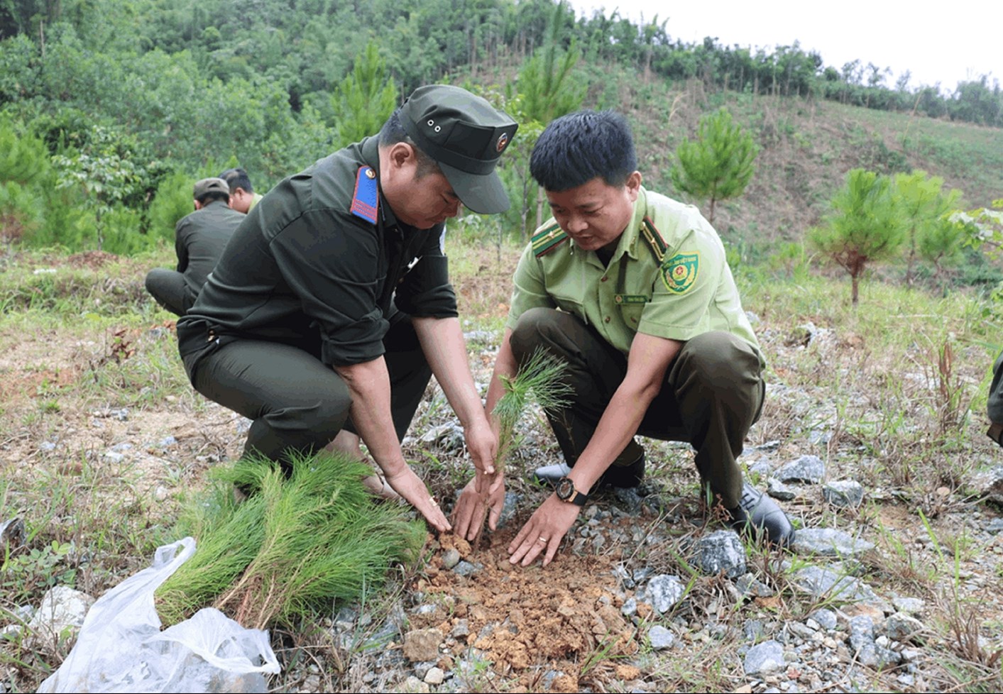 Năm 2022, các đơn vị tại huyện Tây Giang đã trồng thêm 20.800 cây xanh các loại