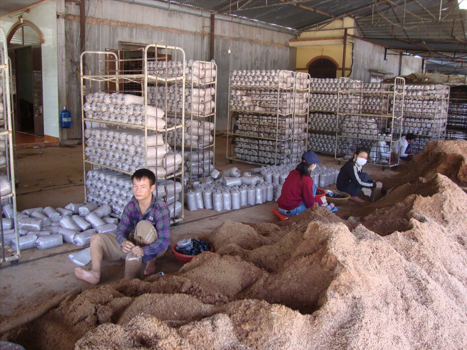 Nhiều trang trại ở Bình Phước thu hút lao động địa phương tới làm việc với thu nhập ổn định