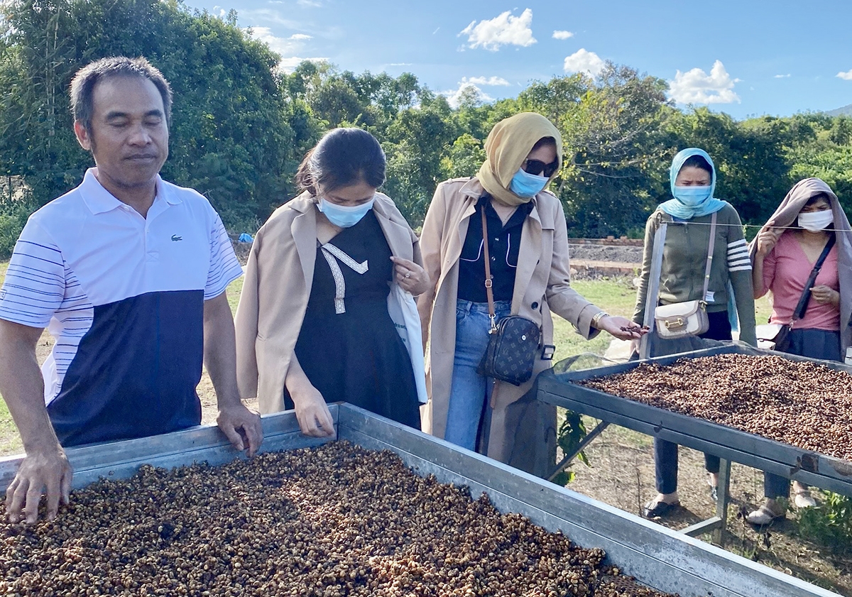 Học viên tham quan trải nghiệm dây chuyền sản xuất cà phê sạch Xuân Dương tại thị trấn Ia Ly (huyện Chư Păh) - mô hình ứng dụng khoa học công nghệ tiêu biểu của tỉnh