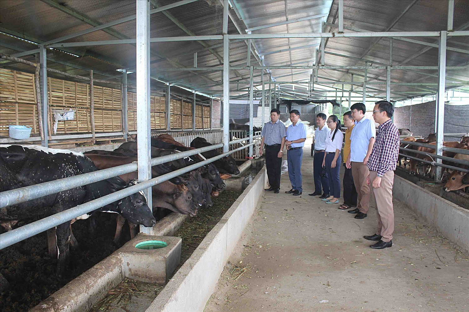 Lãnh đạo Liên minh HTX tỉnh Lai Châu thăm và kiểm tra HTX chăn nuôi tại Lai Châu