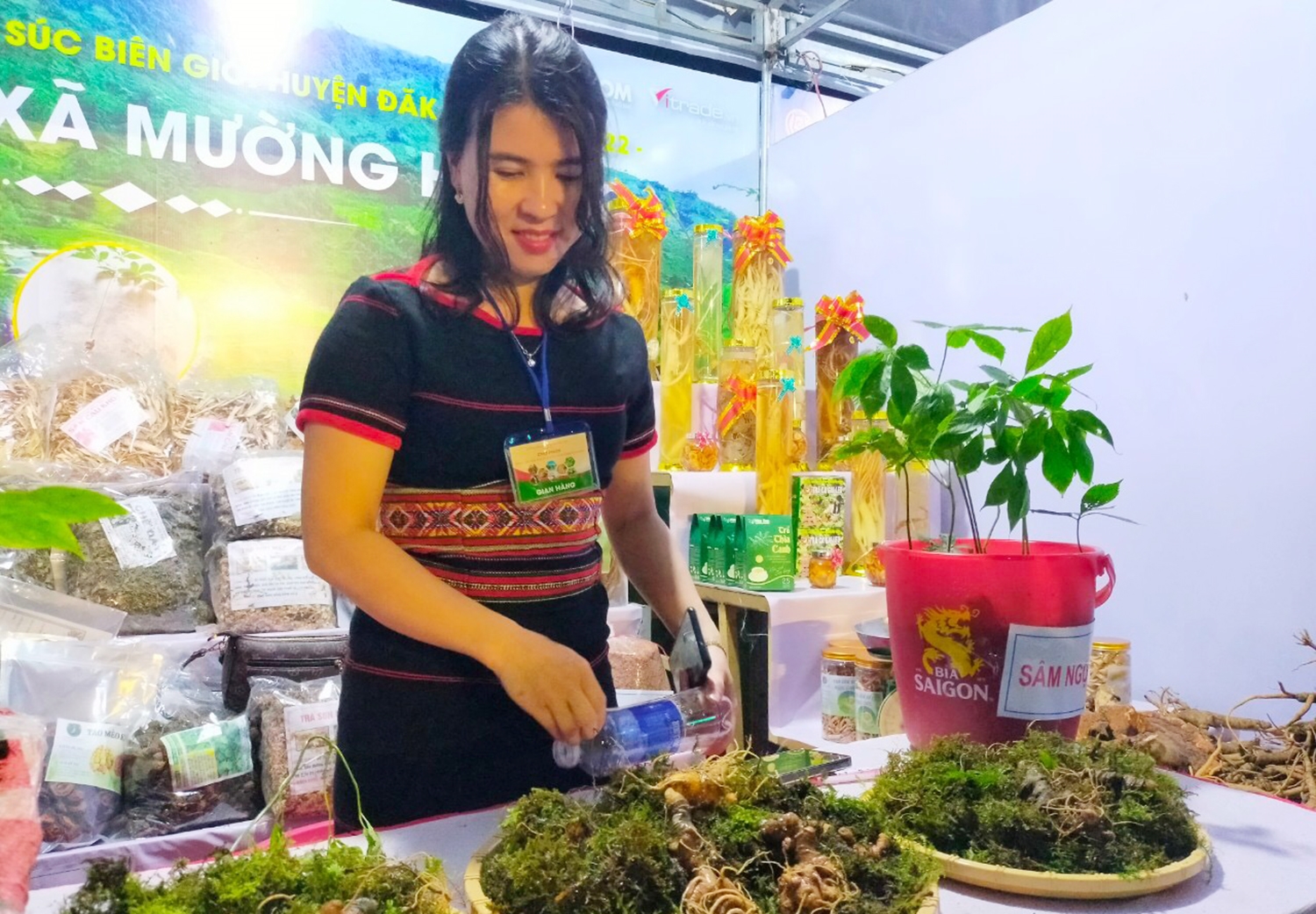 Sâm Ngọc Linh được trồng tại xã Mường Hoong được mang tới Chợ phiên