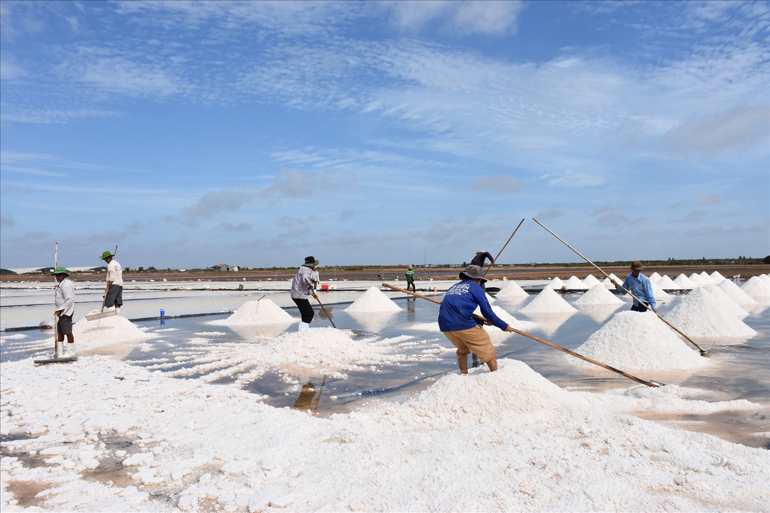 Thành viên HTX diêm điền huyện Đông Hải (Bạc Liêu) thu hoạch muối