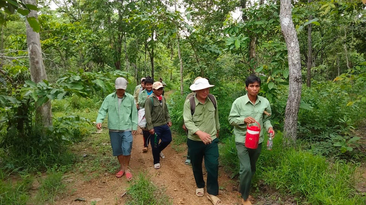 Chính sách giao khoán bảo vệ rừng giúp đồng bào DTTS tại tỉnh Bình Thuận cải thiện thu nhập