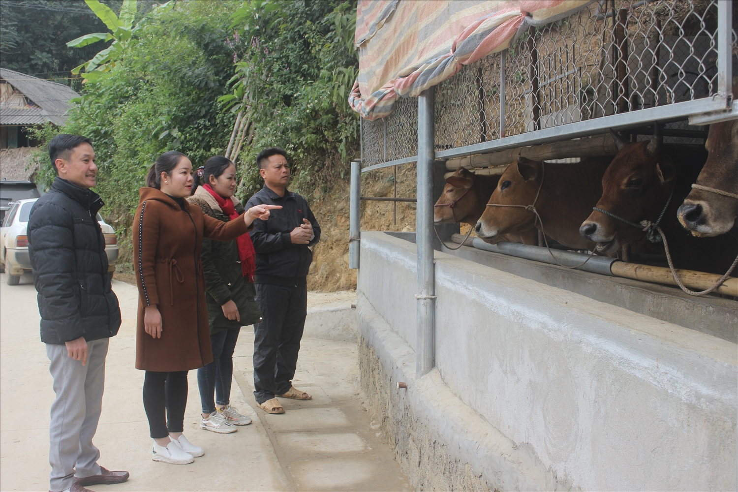 Nhiều hộ dân ở xã Phú Xuân, huyện Quan Hóa đã vươn lên trong phát triển kinh tế và xây dựng địa phương nhờ nguồn vốn hỗ trợ của nhà nước