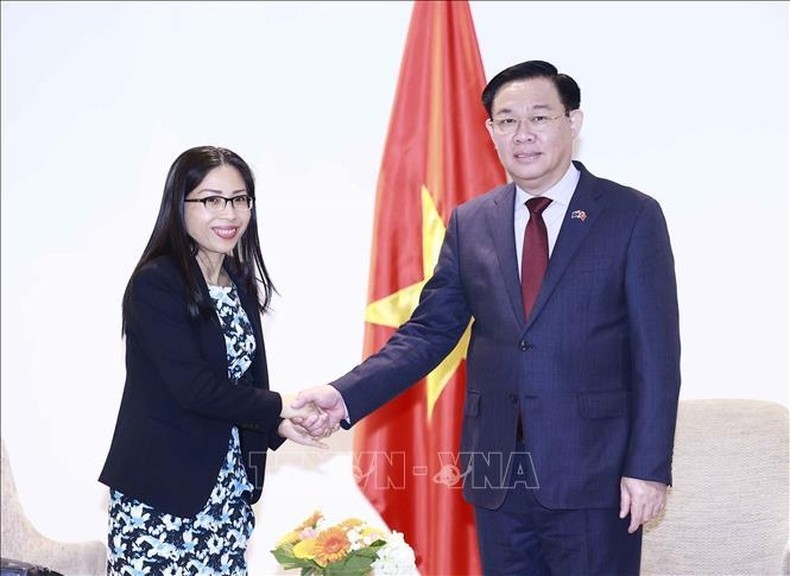 Chủ tịch Quốc hội Vương Đình Huệ tiếp đại diện tổ chức kết nối mạng lưới tri thức Việt Nam hoạt động trong lĩnh vực công nghệ và thông tin tại New Zealand (VietTech New Zealand). (Ảnh: TTXVN)