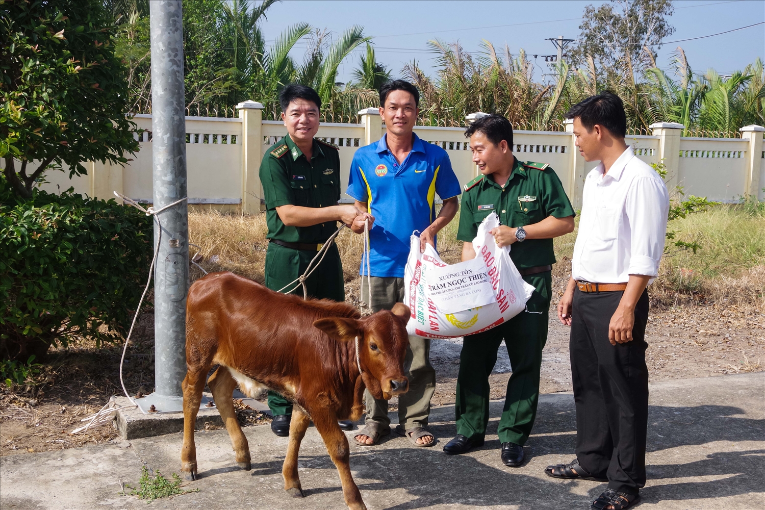 Đồn Biên phòng An Thạnh Ba trao tặng bò giống cho hộ gia đình có hoàn cảnh khó khăn trên địa bàn đơn vị quản lý
