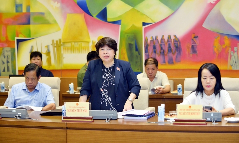 Chủ nhiệm Ủy ban Xã hội Nguyễn Thúy Anh có nhiều đánh giá tích cực về phát triển BHXH tự nguyện