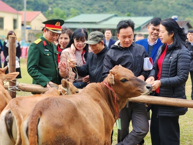 Bà Nguyễn Thị Phượng, Phó Tổng GĐ Agribank trao tặng bò cho các hộ gia đình Tại Hà Quảng (Cao Bằng)