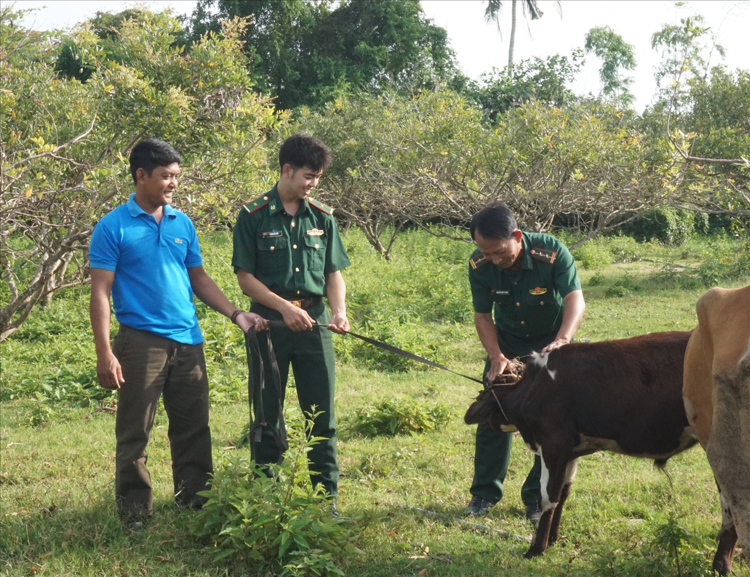 Anh Chành Đi (bìa trái) cùng cán bộ, chiến sĩ Đồn biên phòng Lai Hoà đến thăm đàn bò của hội viên thuộc Dự án bò giống của Bộ Tư lệnh Biên phòng tại ấp Plrey Chốp B 