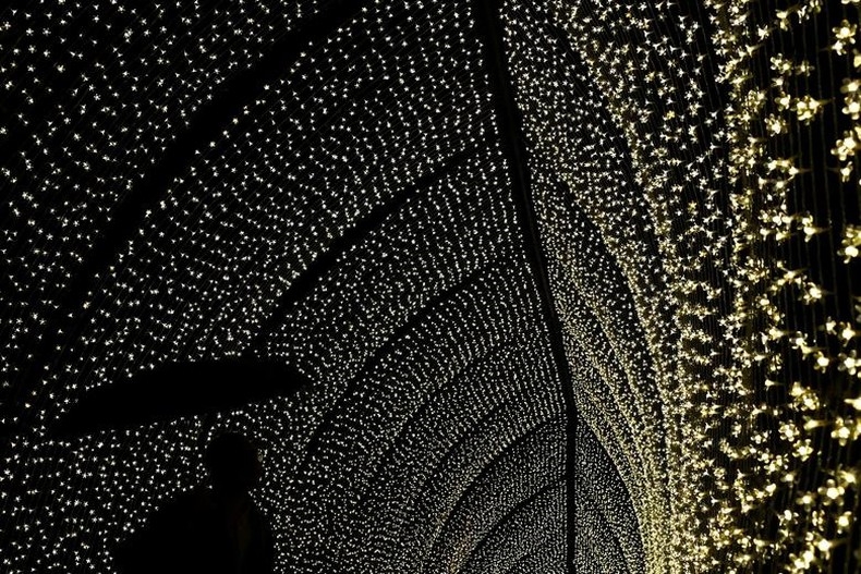 Dưới ánh đèn lung linh tại Kew Gardens, London, Anh. (Ảnh: Reuters)