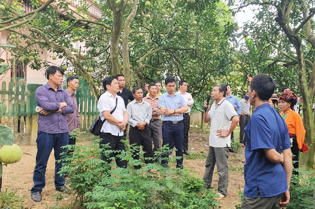 Đoàn đại biểu Người có uy tín trong đồng bào DTTS tỉnh Sơn La tham quan mô hình phát triển sản xuất tại huyện Đoan Hùng, Phú Thọ