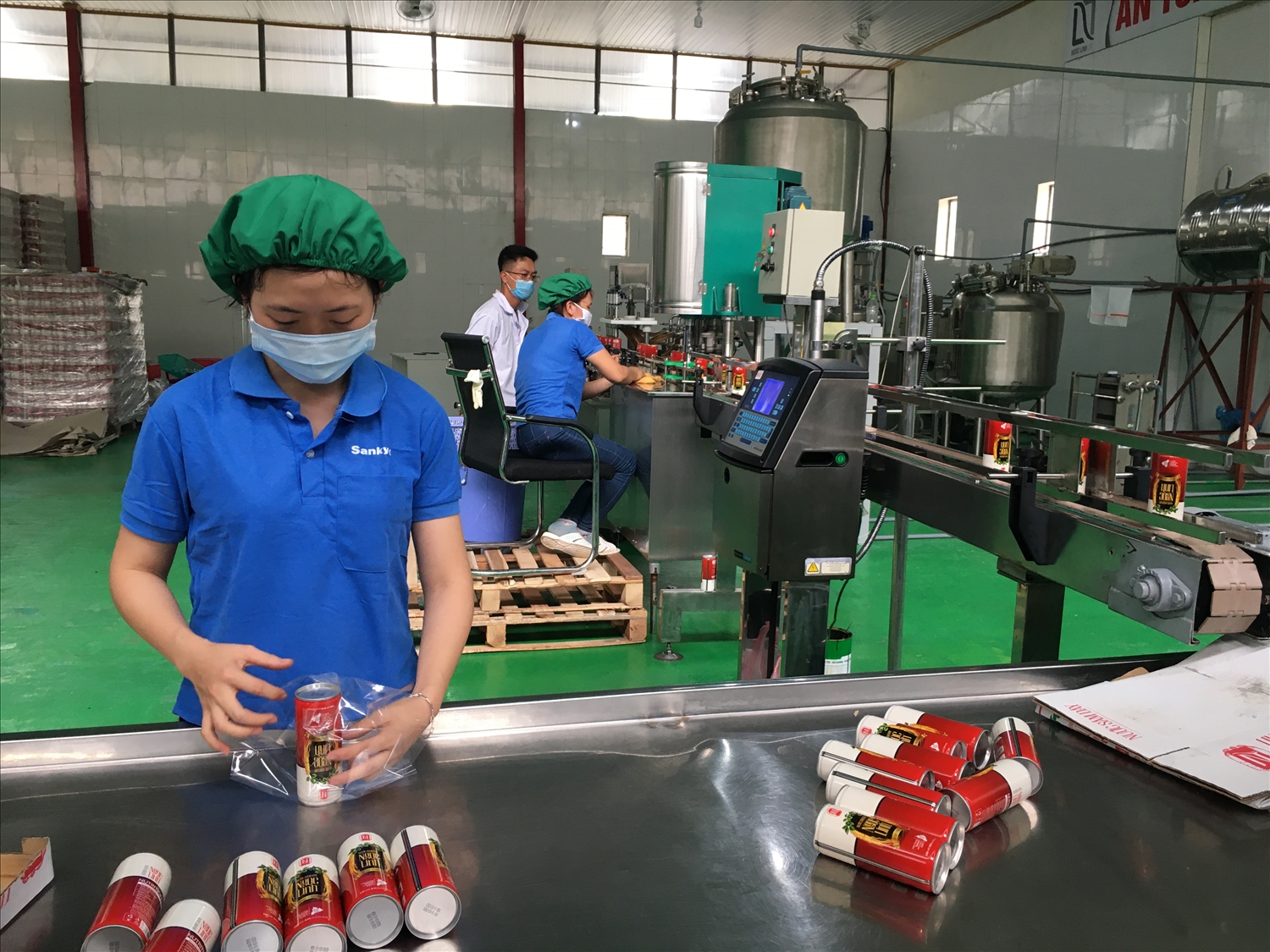 Nhà máy chế biến nước sâm của Công ty Cổ phần nước giải khát Ngọc Linh liên kết thu mua hồng đẳng sâm cho bà con.