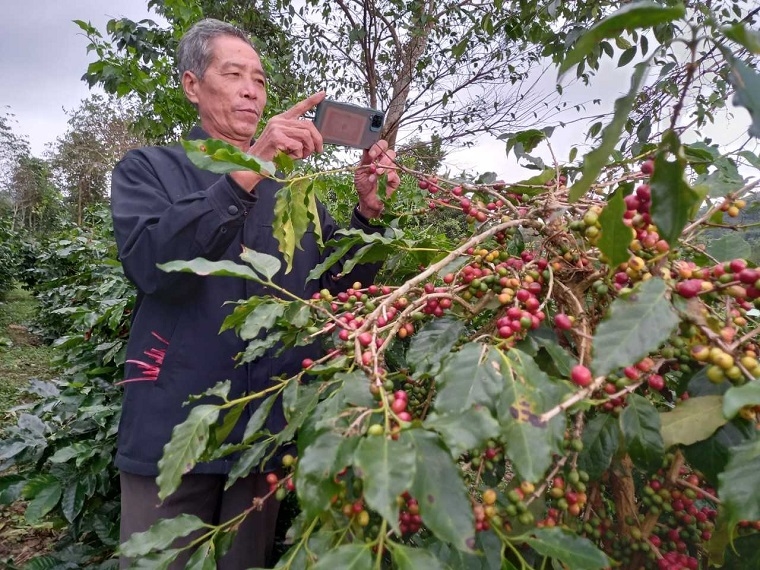 Người dân xã Hướng Phùng, huyện Hướng Hóa, tỉnh Quảng Trị sử dụng điện thoại thông minh để chụp, quay lại các sản phẩm nông nghiệp để quảng bá trên Facebook