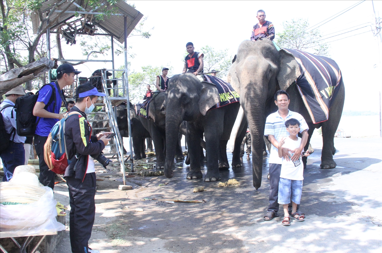 Nhiều du khách chụp hình lưu niệm cùng voi