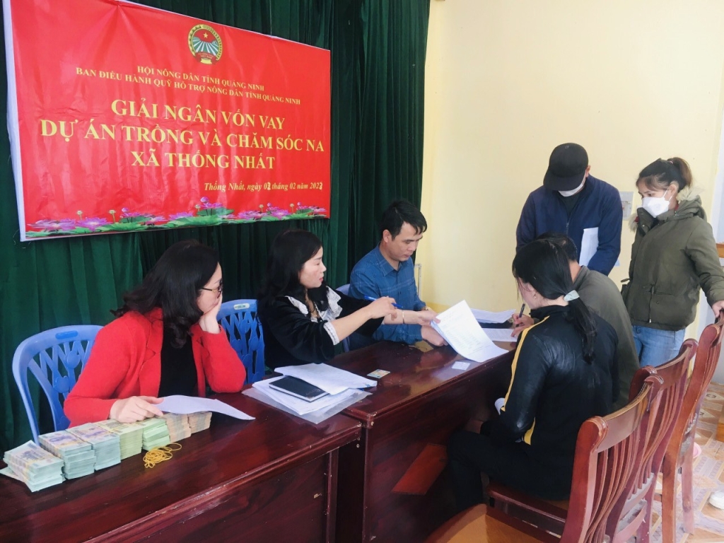 Cán bộ Ban Điều hành Quỹ HTND tỉnh giải ngân nguồn vốn cho các hộ hội viên, nông dân TP Hạ Long tham gia Dự án “Trồng Na an toàn” tại xã Thống Nhất.