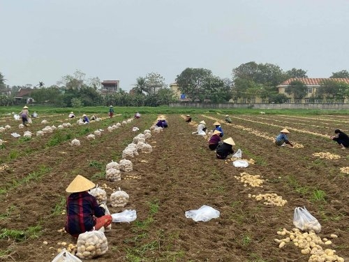 Công ty CP nông nghiệp quốc tế An Việt ngang nhiên xả thải ra môi trường 9