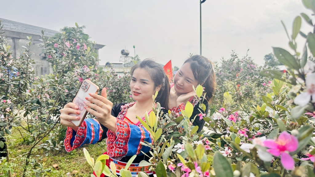 Lễ hội Hoa sim biên giới mang đậm màu sắc văn hóa dân tộc